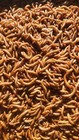 Live Mealworms - Small 1 4 -1 2  - Free Shipping From Pennsylvania - Guaranteed 