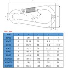 Locking Carabiner Clips 304 Stainless Steel Spring Snap Hook 4x40mm-12x140mm