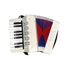 Accordion 17 Keys 8 Bass for Adult Beginners   accordion Instrument    instrument   