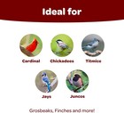 Kaytee Songbird Wild Bird Seed Food  Blended For Grosbeaks  Chickadees  Titmice 