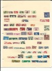 Australia Collection On 4 Stock Pages  Nice Lot To Pick Through