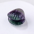 Natural Fluorite Shell Quartz Crystal Stone Seashell Carved Reiki Healing Decor