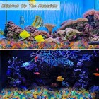Pc Sea Glow In The Dark Rocks Aquarium Glow Stones Rocks For 100 Multi-colored