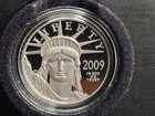      2009-w  100 American Eagle 1 Oz  9995 Platinum Proof Preamble Series Coin
