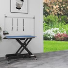 49  Electric Adjustable X-lift Dog Grooming Table Heavy Duty W grooming Arm Blue
