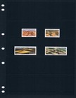  2 20 Scott Value - 1977 South West Africa Sand Dune Desert Namibia Cv Mnh Nh Um
