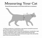 12  Hand Knitted Sphynx Hairless Cat Designer Jumpers  Can Be Made To Measure 