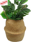 Woven Seagrass Belly Basket For Storage Plant Pot Indoorbdecorative Sturdy And D