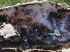 Tcr Amethyst Sage Agate jasper lapidary Polished  both Sides  Slab 166 Grams