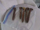 7 Crusty And Rusty Vintage Or Antique 6 Inch Railroad Spikes Great Decoration 
