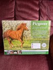 Breyer 2024 Tractor Supply Tsc Special Run Quarter Horse - Peyton