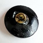 Antique Black Glass Button Acorn Picture Iridescent Luster Metal Shank Plant