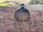 Vintage Sterling Silver Perfume Flask Snuff  Etched Bottle Hd