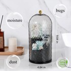 Toothbrush Holder With Cover For Bathroom Countertop  Rotating Organizer For    