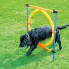 Pawise Dog Agility Training Equipment  Puppy Agility Kit With Jump Ring  Adjusta