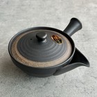 Tokoname Japanese Teapot Yakishime Black Slip Flat Wide Kyusu 200ml By Morimasa 