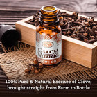 Gurunanda Clove Essential Oil  100  Pure  Natural And Undiluted Aromatherapy Oil