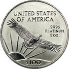 2001  100 American Platinum Eagle 1oz  9995 Coin  Uncirculated Bu  Minor Scuffs