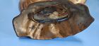 7 25 x4  Mid Cen Vintage Brass Nautilus Sea Shell Planter Nautical Centerpiece