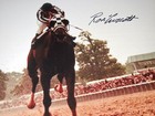 Ron Turcotte Autographed 8x10 Photo  framed   Matted  - Beckett  - Secretariat 