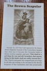 Lot Of 100 Traditional Catholic Prayer Card Leaflet The Brown Scapular Mary
