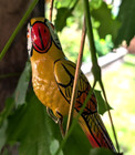 Ceramic 6  Bird W  Perch Tiki Room Parrot Macaw Toucan Colorful Tropical Hanging