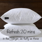 Euro Pillow Inserts 30x30-feather And Down Fill - Cotton Fabric