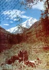 1975-76 Thomas Jefferson High School Yearbook  Denver  Colorado - Aristocrat