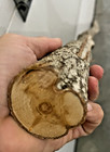58  Diamond Willow  wood   Spirits  You Carve  Walking Stick  Staff  Spalted