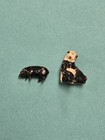 Lot Of 2 W  Horton Lilliput World Models Britains  o o     h o   Gauge Toys Pig