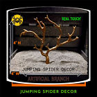 Artificial Branch 4    Jumping Spider Beetle Insect Reptile Enclosure Decor Plant