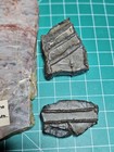 Rare Stromatolite Cryptozoon Slabs Dr Bruce Stinch Comb Collection Medicine Bow