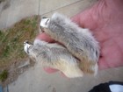 Genuine Rabbits Foot 12 Real Rabbit Feet A Dozen Natural Keychains Good Luck 