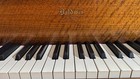 Baldwin Art-case Model G Grand Piano  65884