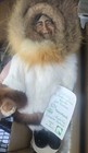 Historic Alaska Nayukpuk Eskimo Woman Doll W stand Camai 13   real Fur Collectable