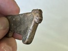 Rare Anasazi Hohokam Mimbres Animal Ram Effigy Stone Figure  Statue  Motley Coa