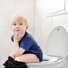 Elongated Toilet Seat With Toddler Seat Built In Potty Training Toilet Seat 19  