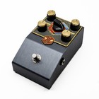 Beetronics Pollinator Hazee Delay Pedal