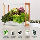 Personal Garden - Rise  brand New  Still In Packaging  Never Used 
