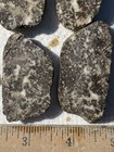 Dendritic Brecciated Jasper Rough Slabs Oregon Agate Chalcedony Nodule Slices 6