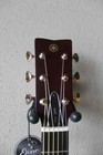 Brand New Yamaha Fgx5 Gl Red Label Acoustic electric Guitar - Japan