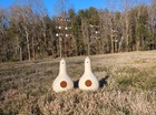 Purple Martin Gourd Birdhouse - Plastic - Set Of 2