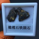 Sericho Olivine Iron Meteorite From Kenya 2pcs   4 9g