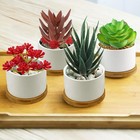 Fake Succulents Unpotted Realistic Plants Mini Artificial Succulent Plants