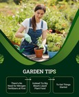                                              Foxfarm Ocean Forest Potting Soil  - 12 Quarts