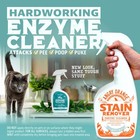 Angry Orange Cat Urine Odor Eliminator   Stain Remover  Pet Stain Enzyme Clea   