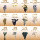 130pcs Diy Mixed Natural Dried Flower Set  Preserved Flowers Bulk With Baby s