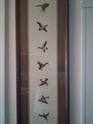 Vintage Mallard Duck Embroidery Crewel Framed