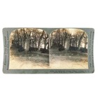 Belgian Soldiers Ww1 Ambush Stereoview C1915 World War One Enemy Scouts A2464