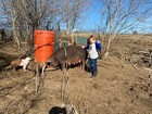 2625ft Electric Fence Wire Roll